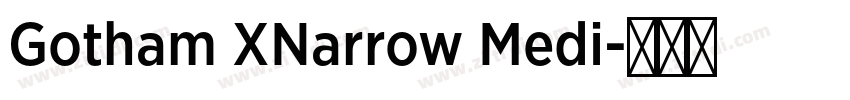 Gotham XNarrow Medi字体转换